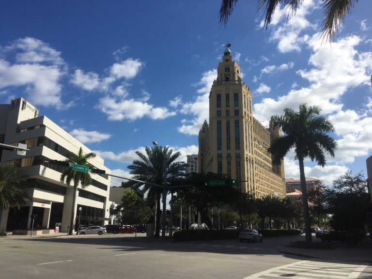 city buildings with palm trees