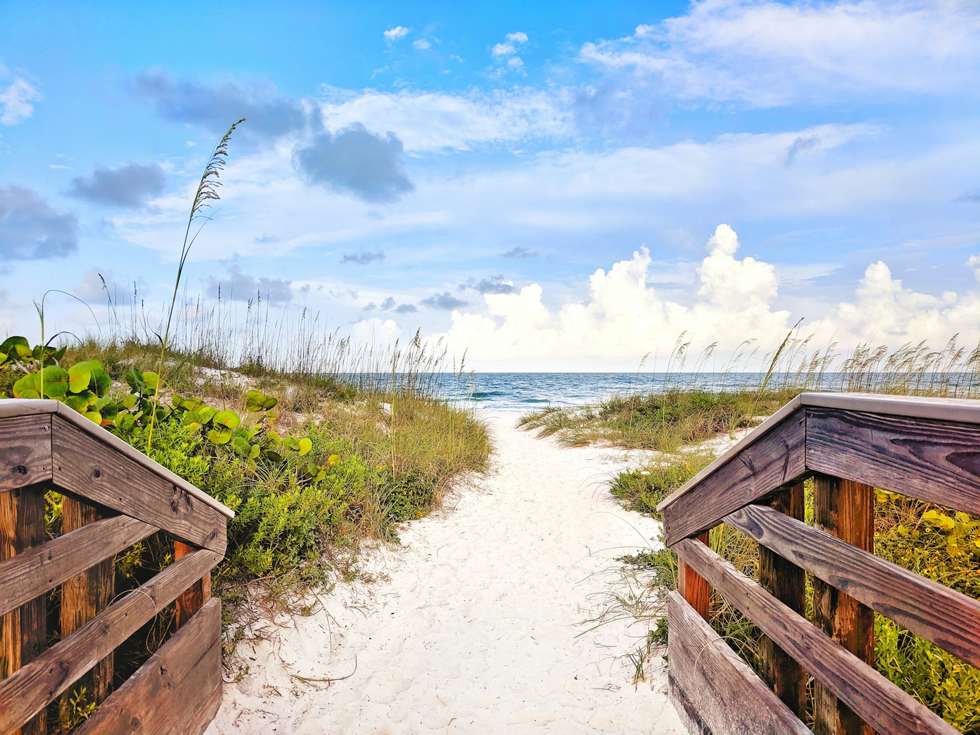 Bradenton - Healthcare Environmental Services